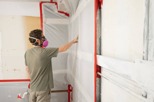 Environmental Consulting for Mold Prevention in Maricopa, AZ
