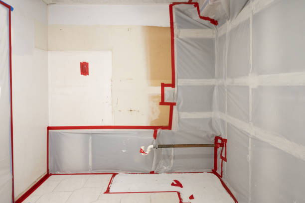 Mold Remediation for Vacation Homes in Maricopa, AZ